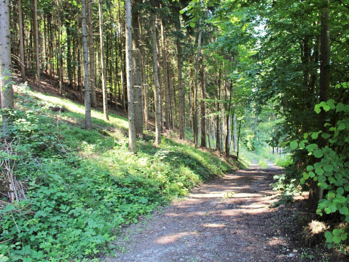 Apartment In Koettmannsdorf Near Bathing Lake Wurdach Eksteriør billede