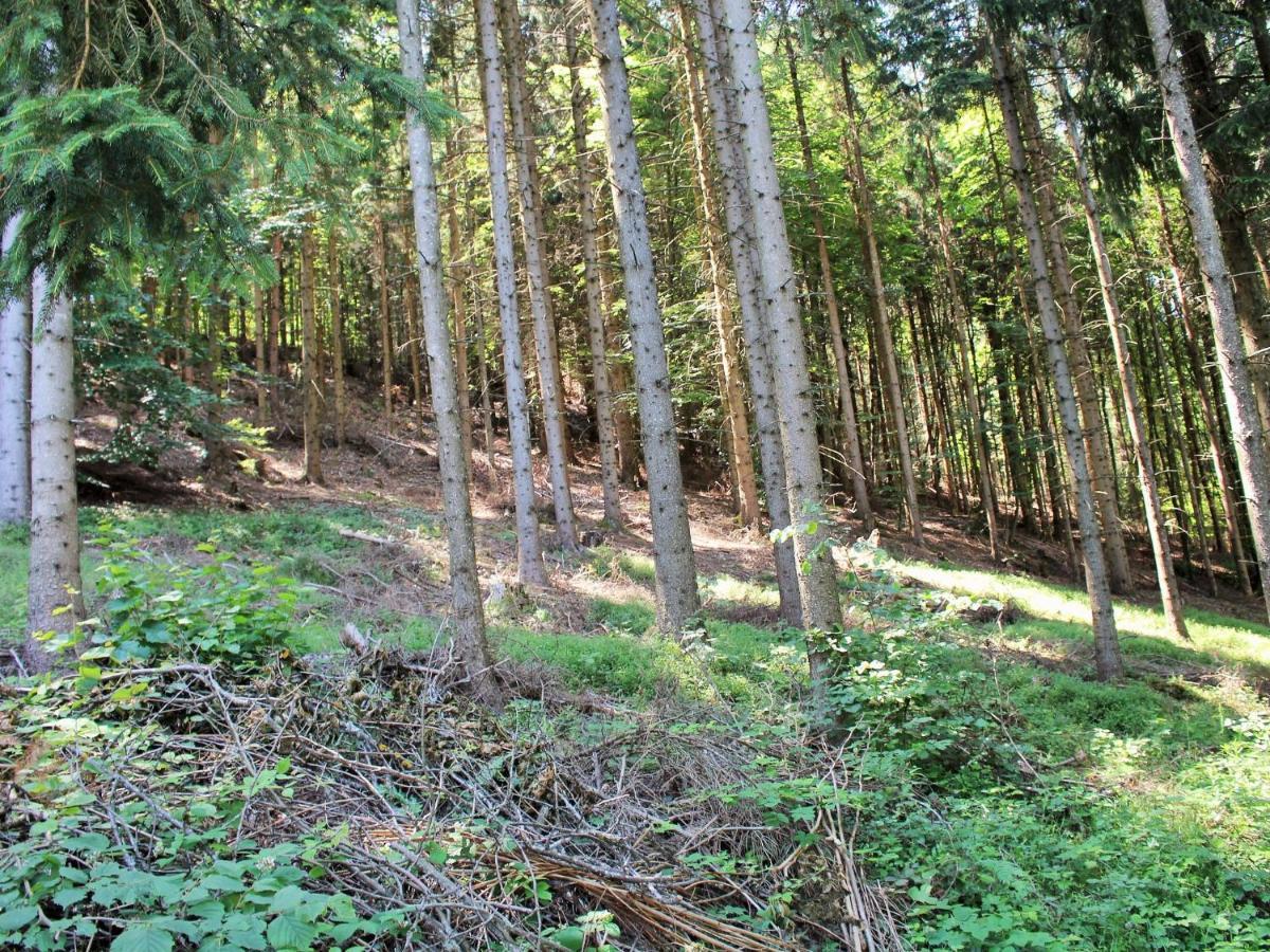 Apartment In Koettmannsdorf Near Bathing Lake Wurdach Eksteriør billede